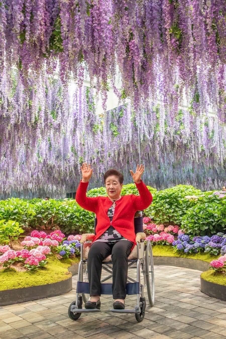 SHOCKING: DO NOT WORRY ABOUT ME — Mother of Peace’s Powerful Message Echoes Around the World: Pray & Act to Fulfill Heaven’s Will — President Lee & Citizens: Free Holy Mother Han Immediately for Ultimate Global Peace!